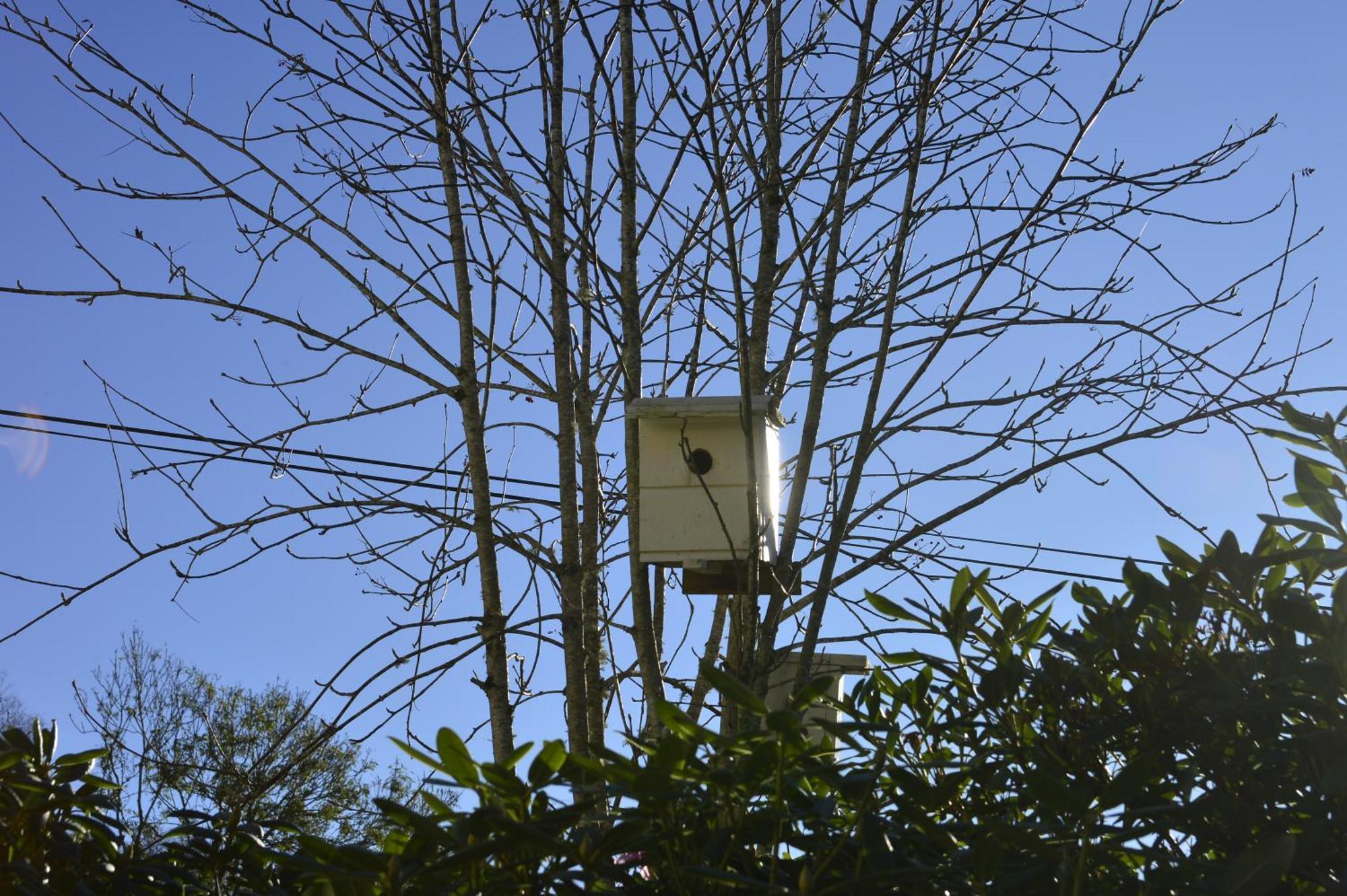 Guesthouse In Manger, Radoy Island Kolstad Exterior foto