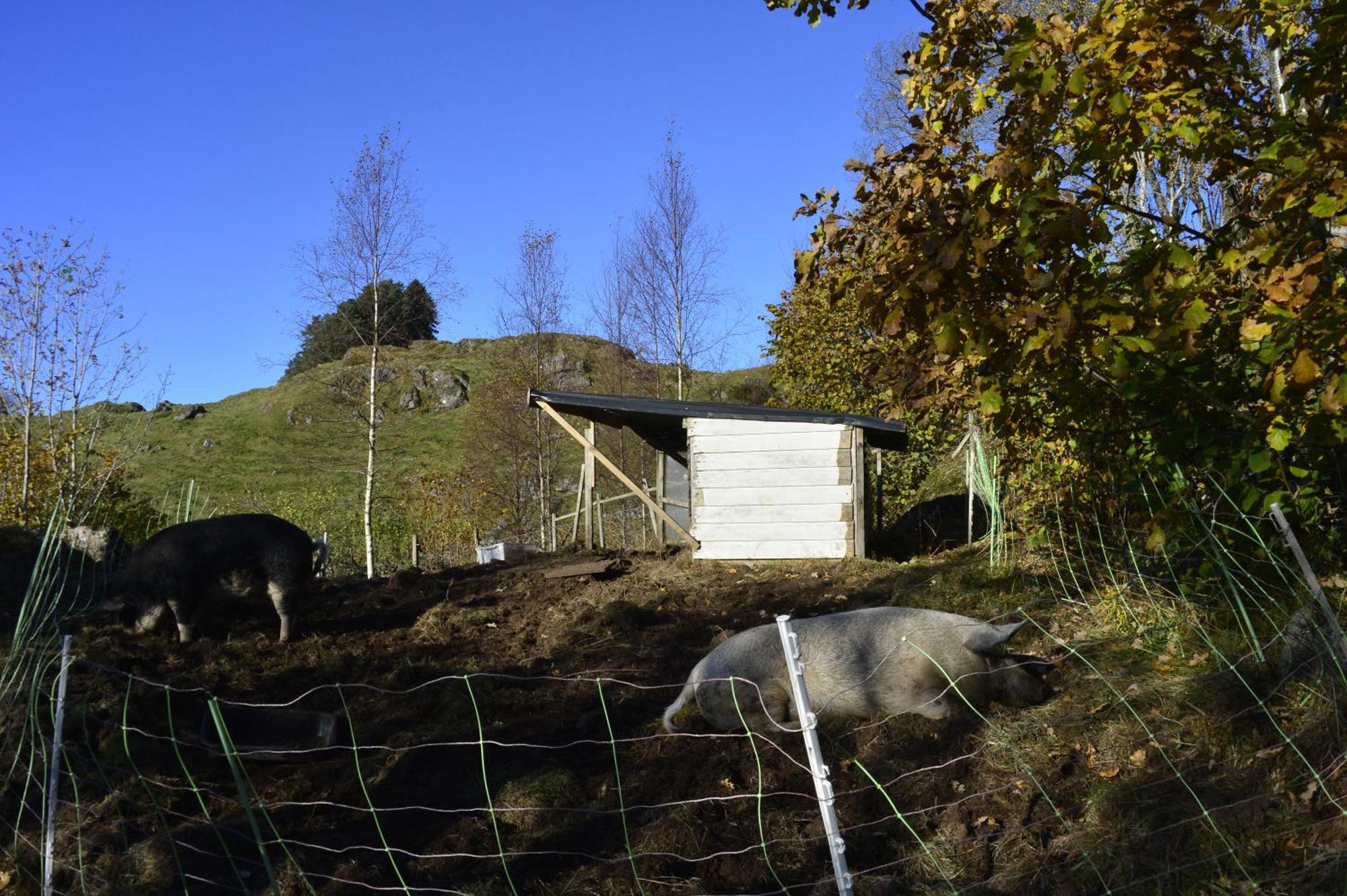 Guesthouse In Manger, Radoy Island Kolstad Exterior foto